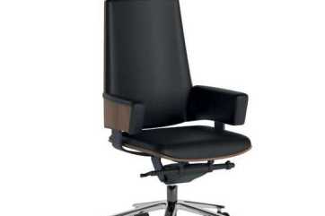 Bộ sưu tập ghế văn phòng xu hướng mới nhất năm 2022