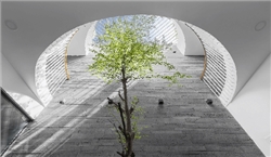 Vai trò quan trọng của ánh sáng tự nhiên trong kiến trúc thiết kế biệt thự