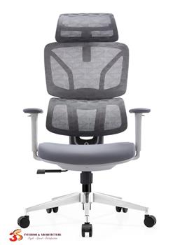 Ghế công thái học Ergonomic LM-181A-1