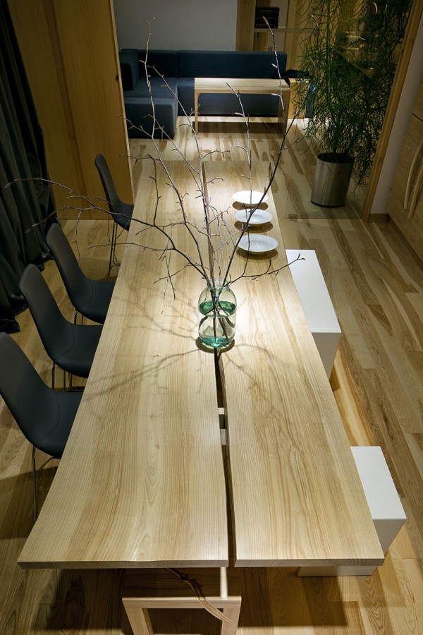 hiện đại gỗ nội thất