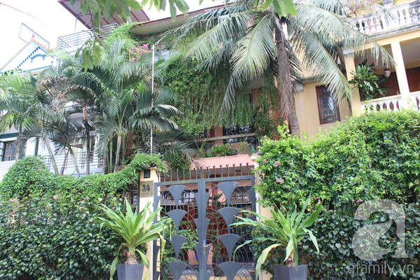 Những ngôi nhà xanh tuyệt đẹp nhờ cây cảnh ở Hà Nội 12
