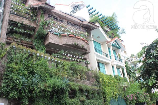 Những ngôi nhà xanh tuyệt đẹp nhờ cây cảnh ở Hà Nội 2