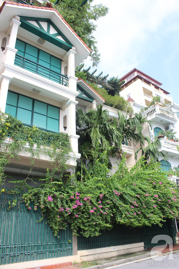 Những ngôi nhà xanh tuyệt đẹp nhờ cây cảnh ở Hà Nội 4