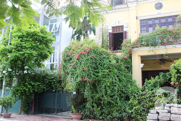 Những ngôi nhà xanh tuyệt đẹp nhờ cây cảnh ở Hà Nội 7